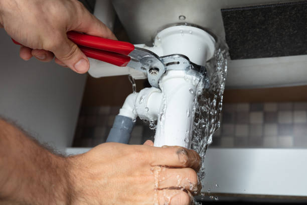 Best Professional water damage repair  in Hawaiian Acres, HI