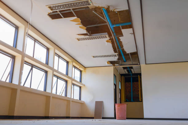 Best Flood damage cleanup  in Hawaiian Acres, HI