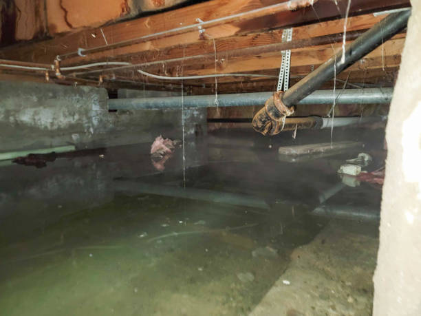 Best Fire Damage Restoration  in Hawaiian Acres, HI