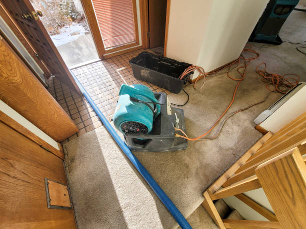 Best Local water damage restoration  in Hawaiian Acres, HI