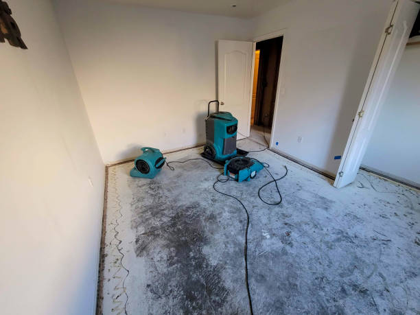 Best Carpet water damage restoration  in Hawaiian Acres, HI