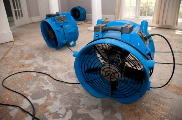 Best Commercial water damage restoration  in Hawaiian Acres, HI