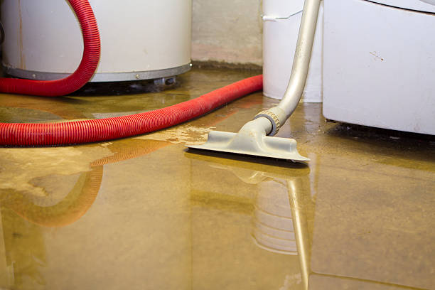 Best Sewage cleanup and water damage restoration  in Hawaiian Acres, HI