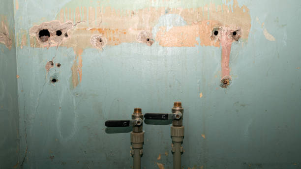 Best Water damage restoration near me  in Hawaiian Acres, HI