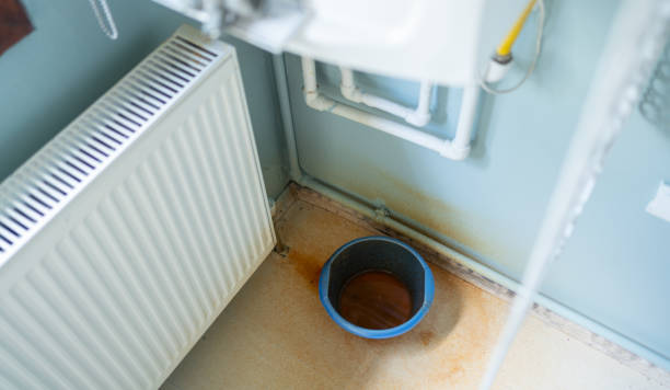 Carpet water damage restoration in Hawaiian Acres, HI