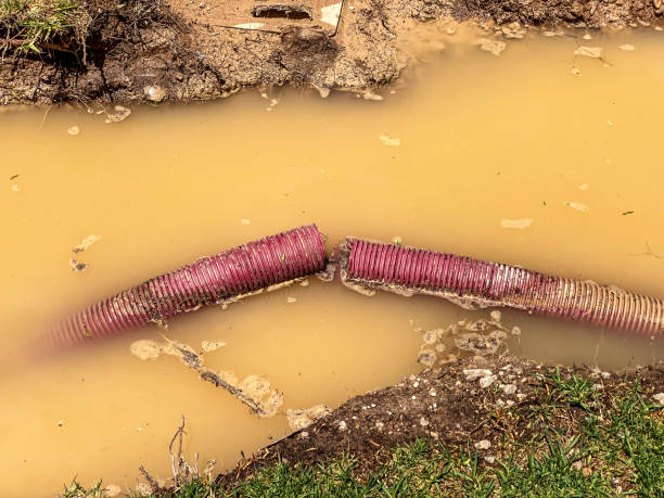 Best Water damage restoration near me  in Hawaiian Acres, HI