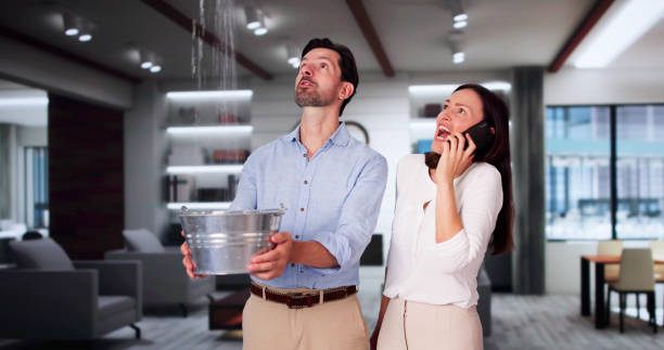 Best Sewage cleanup and water damage restoration  in Hawaiian Acres, HI