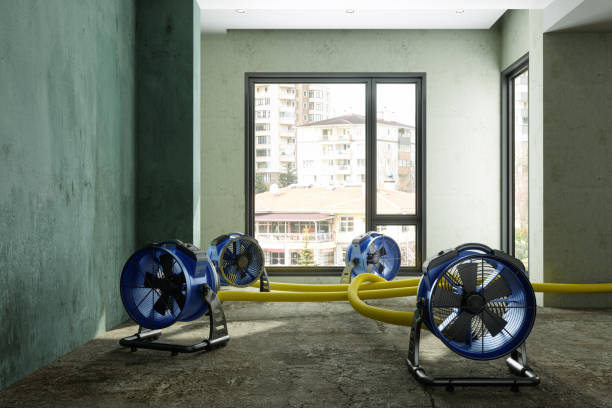 Best Fire Damage Restoration  in Hawaiian Acres, HI