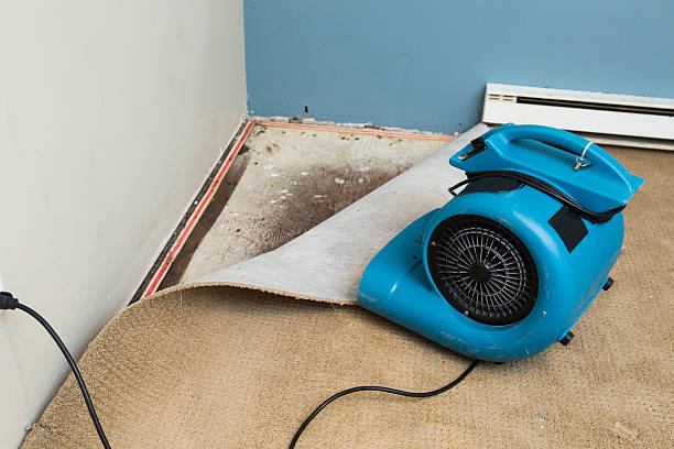 Best Water damage restoration company  in Hawaiian Acres, HI